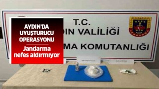 Aydın'da uyuşturucu operasyonu