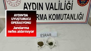 Aydın'da uyuşturucu operasyonu