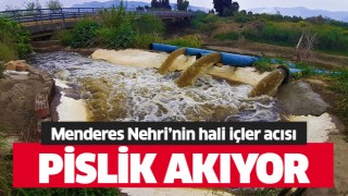 Menderes Nehri'nde pislik akıyor