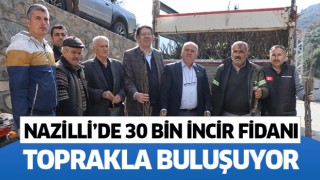 Nazilli'de 30 bin incir fidanı toprakla buluşuyor