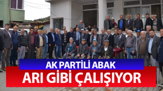 Ak Partili Abak Aydın'ı karış karış geziyor