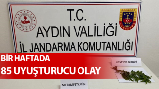 Aydın’da 85 uyuşturucu olayı ortaya çıkarıldı