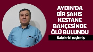 Aydın'da bir şahıs ölü bulundu