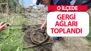 Didim'de sahipsiz gergi ağları toplandı