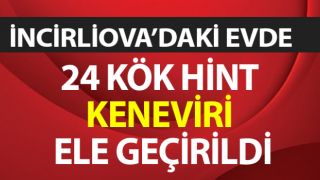 İncirliova’da hint keneviri ele geçirildi