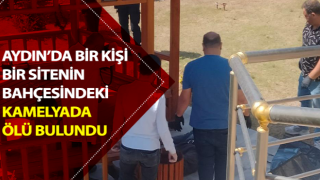 Bahçedeki kamelyada ölü olarak bulundu