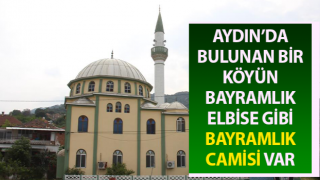 Bu köydeki cami bayram yüzü görmüyor