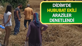 Hububat ekili araziler denetlendi