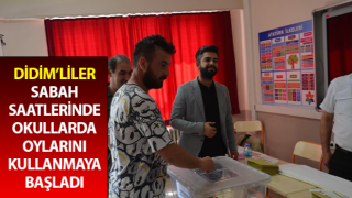 Didimliler sandığa koştu