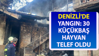 Evlerin ve ahırın küle döndüğü yangında 30 küçükbaş telef oldu