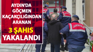 Göçmen kaçakçılığından aranan şahıslar yakalandı