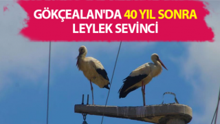 Gökçealan'da 40 yıl sonra leylek sevinci