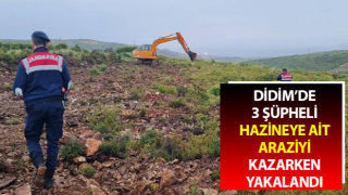 Hazineye ait araziyi kazarken yakalandılar