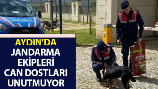 Jandarma ekipleri can dostları unutmuyor