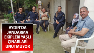 Jandarma ekipleri yaşlı çınarları unutmuyor