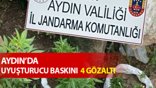 Jandarmadan uyuşturucu baskını: 4 gözaltı