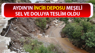 Meşeli, sel ve doluya teslim oldu