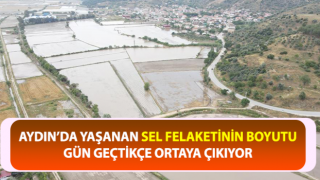 Sel, tarlaları sular altında bıraktı