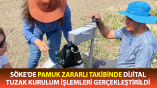 Söke'de pamuk zararlı takibinde dijital dönem