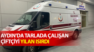 Tarlada çalışırken yılanın ısırdığı adam hastaneye kaldırıldı