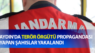 Terör örgütü propagandası yapan şahıslar yakalandı