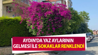 Yaz aylarının gelmesi ile sokaklar renklendi