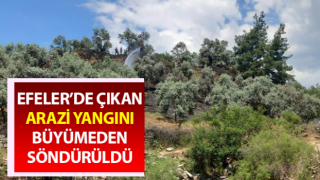 Arazi yangını büyümeden söndürüldü