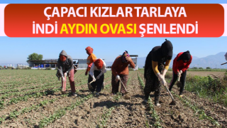 Aydın’da çapa sezonu başladı