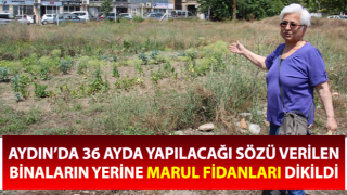 Aydındaki Aykonutzedelerin umutları tükendi