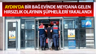 Bağ evinden çaldılar jandarmaya takıldılar