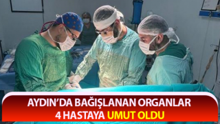 Bağışlanan organlar 4 hastaya umut oldu