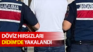 Döviz hırsızları Didim'de yakalandı