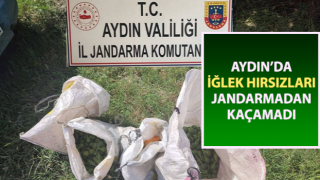 İğlek hırsızlarını jandarma yakaladı