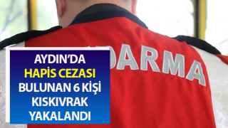 Jandarma ekipleri aranan şahıslara göz açtırmıyor