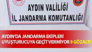 Jandarma uyuşturucuya geçit vermiyor: 9 gözaltı