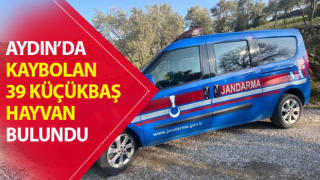 Kaybolan hayvanlar jandarma tarafından bulundu