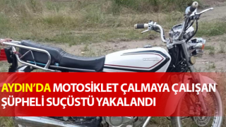 Motosiklet hırsızı suçüstü yakalandı