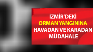 Orman yangınına havadan ve karadan müdahale