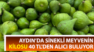 Pazarda sinekli meyvenin kilosu 40 TL'den alıcı buluyor