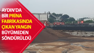 Prina fabrikasında çıkan yangın, büyümeden söndürüldü