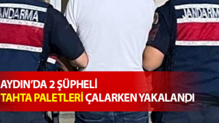 Tahta paletleri çalarken yakalandılar