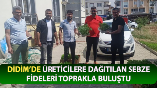 Üreticilere dağıtılan sebze fideleri toprakla buluştu