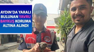 Yavru baykuşa jandarma koruması