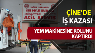 Yem makinesine kolunu kaptırdı