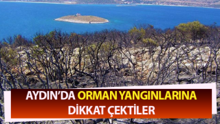 Aydın’da orman yangınlarına dikkat çektiler