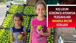 Aydın'da tezgahları Manisa inciri süsledi