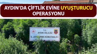 Çiftlik evine uyuşturucu baskını: 1 tutuklama