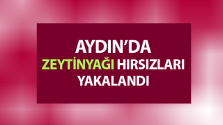 Çine’de zeytinyağı hırsızları yakalandı