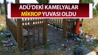 Çöplüğe dönen kamelyalar, hastalığa davetiye çıkarıyor