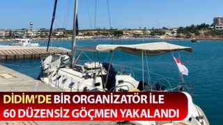 Didim’de 60 düzensiz göçmen yakalandı